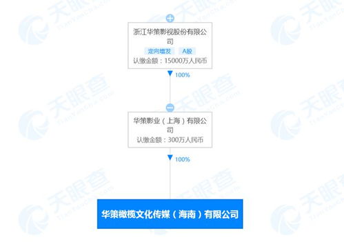 华策影视跨界布局 海南新公司扩展互联网销售版图
