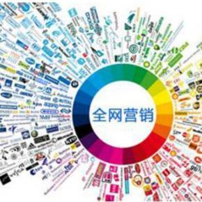 全网营销宝典 驱动互联网销售的整合策略与实战指南